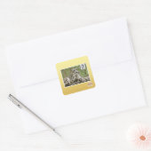 Waarom vinden honden dit zo moeilijk? vierkante sticker (Envelop)