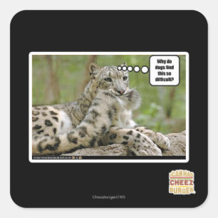 Waarom vinden honden dit zo moeilijk? vierkante sticker