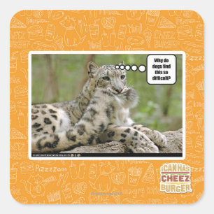 Waarom vinden honden dit zo moeilijk? vierkante sticker