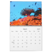 Waarom we duiken kalender (Mar 2027)