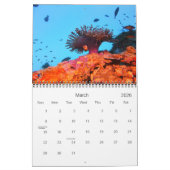 Waarom we duiken kalender (Mar 2026)