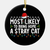 Waarschijnlijk brengt hij een verdwaalde kat mee n keramisch ornament (Voorkant)