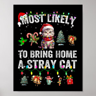 Waarschijnlijk een loslopende kat die overeenkomt  poster