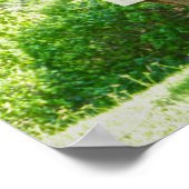 Waarschilding voor giftige boom poster (Hoek)