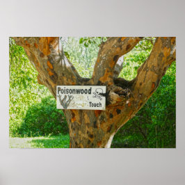 Waarschilding voor giftige boom poster