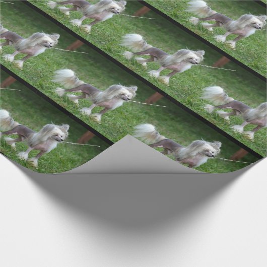 Waarschuwende Chinese Crested Dog Cadeaupapier (Hoek)