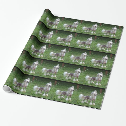Waarschuwende Chinese Crested Dog Cadeaupapier (Uitgerold)
