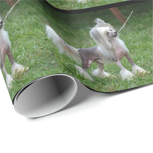 Waarschuwende Chinese Crested Dog Cadeaupapier (Rol Hoek)