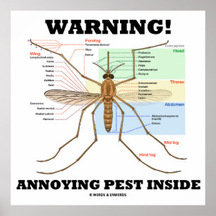 Waarschuwing! Annoying Pest Inside (muggenanatomie Poster