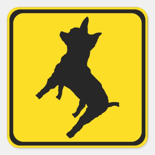 Waarschuwing - Chihuahua vooruit! Vierkante Sticker (Voorkant)