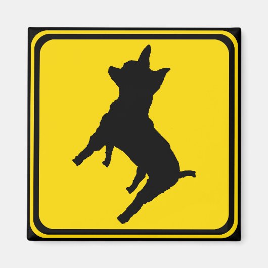 Waarschuwing - Chihuahua Xing! Magneet (Voorkant)