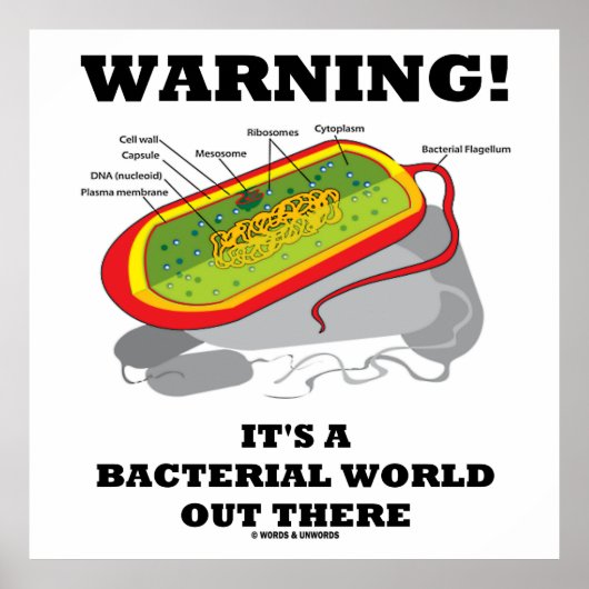 Waarschuwing! Het is een bacteriële wereld daarbui Poster (Voorkant)