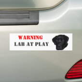 WAARSCHUWING, Laboratorium bij Spel Bumpersticker (Op auto)