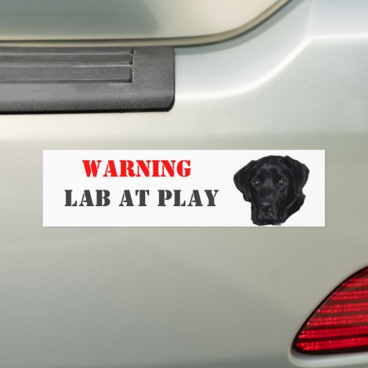 WAARSCHUWING, Laboratorium bij Spel Bumpersticker (Op auto)