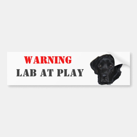 WAARSCHUWING, Laboratorium bij Spel Bumpersticker (Voorkant)