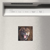 Waarschuwing leeuwmagneet magneet (Insitu (Vaatwasser))