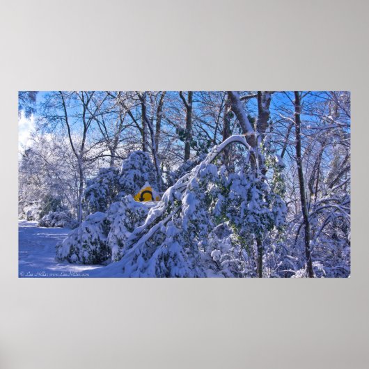 "Waarschuwing Sharp-bocht" in het sneeuwPoster Poster (Voorkant)