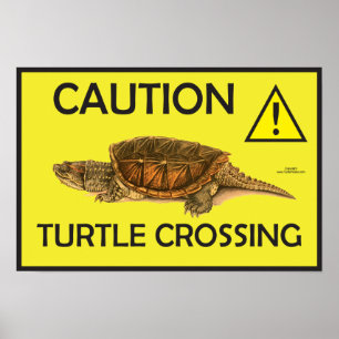 Waarschuwing Snapping Turtle Crossing Poster