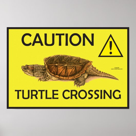 Waarschuwing Snapping Turtle Crossing Poster (Voorkant)
