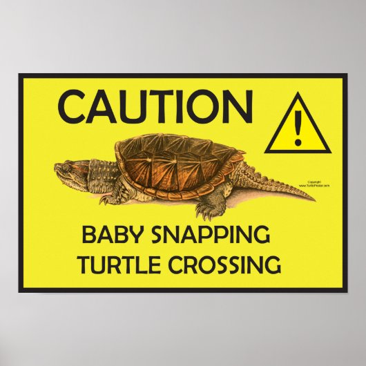 Waarschuwing Snapping Turtle Crossing Poster (Voorkant)