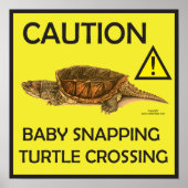Waarschuwing Snapping Turtle Crossing Poster (Voorkant)