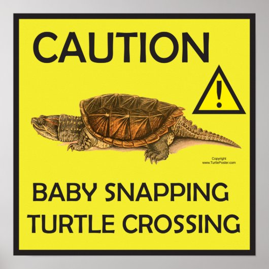 Waarschuwing Snapping Turtle Crossing Poster (Voorkant)