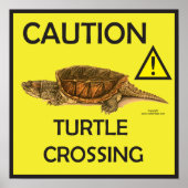 Waarschuwing Snapping Turtle Crossing Poster (Voorkant)