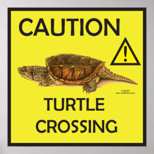 Waarschuwing Snapping Turtle Crossing Poster