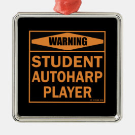 Waarschuwing! Student Autoharp Player! Metalen Ornament
