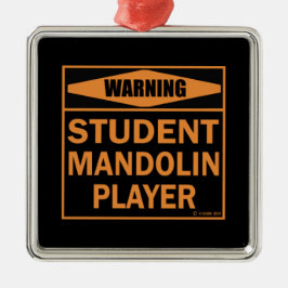 Waarschuwing! Student Mandolin Player! Metalen Ornament