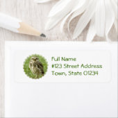 Waarschuwing Uil Mailing Labels (Insitu)