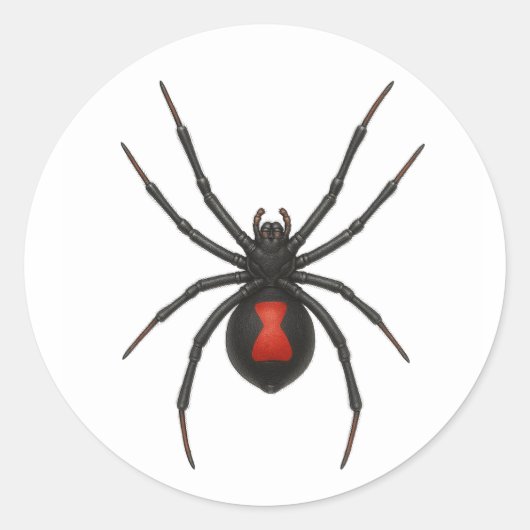 Waarschuwing van de weduwe: Black Widow Spider Ronde Sticker (Voorkant)