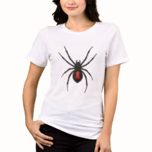 Waarschuwing van de weduwe: Black Widow Spider