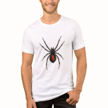 Waarschuwing van de weduwe: Black Widow Spider