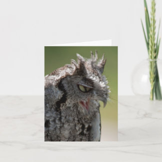 Waarschuwing van een Screech Owl notitiekaart