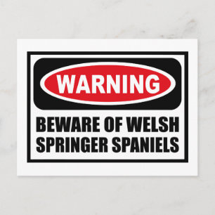 WAARSCHUWING VAN HET Briefkaart WELSH SPRINGER SPA