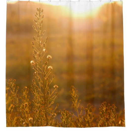 WAARSCHUWING VAN MEADOW GRASS DOUCHEGORDIJN (Voorkant)