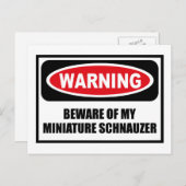 WAARSCHUWING VAN MIJN MINIATUURSCHNAUZER-Briefkaar Briefkaart (Voorkant / Achterkant)