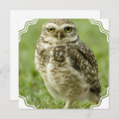 Waarschuwingen voor Owl Kaart (Voorkant / Achterkant)