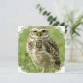 Waarschuwingen voor Owl Kaart (Staand voorkant)