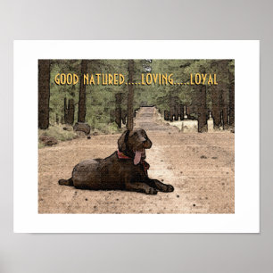 Waarschuwings Chocolade Lab Op Een Bospad Aangepas Poster