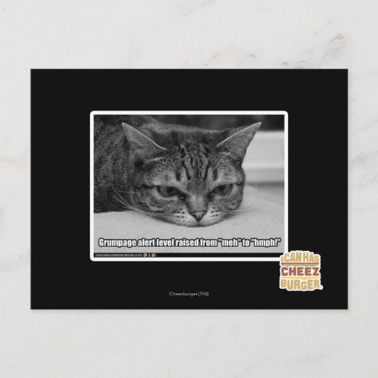 Waarschuwingsbericht voor bruinvissen briefkaart (Voorkant)