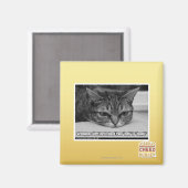 Waarschuwingsbericht voor bruinvissen magneet (Voorkant / Achterkant)