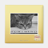 Waarschuwingsbericht voor bruinvissen magneet (Voorkant)