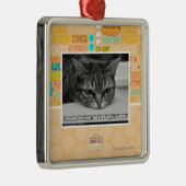 Waarschuwingsbericht voor bruinvissen metalen ornament (Rechts)