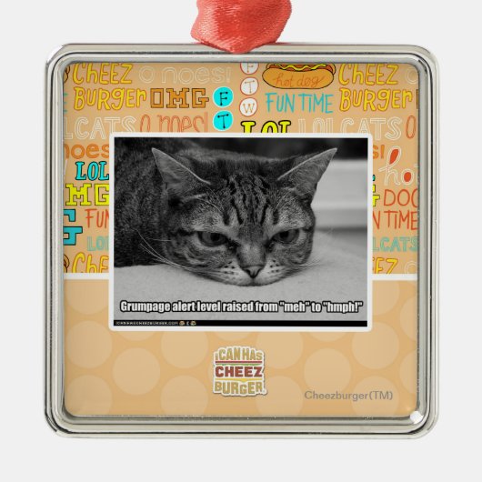 Waarschuwingsbericht voor bruinvissen metalen ornament (Voorkant)