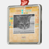 Waarschuwingsbericht voor bruinvissen metalen ornament (Links)