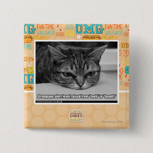 Waarschuwingsbericht voor bruinvissen vierkante button 5,1 cm (Voorkant)