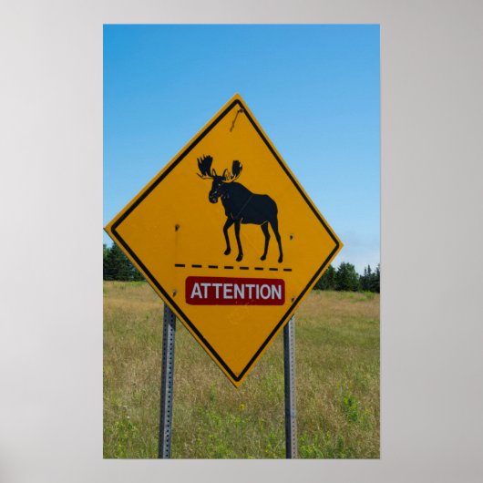 Waarschuwingsbord eland poster (Voorkant)