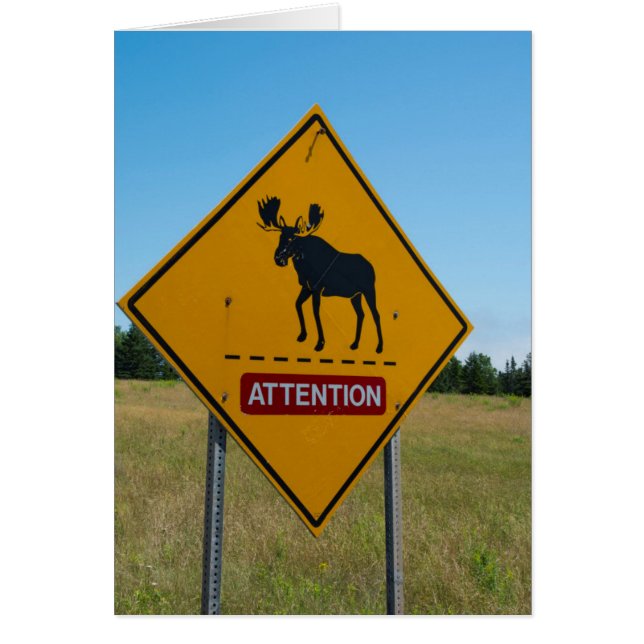 Waarschuwingsbord voor elanden (Voorkant)